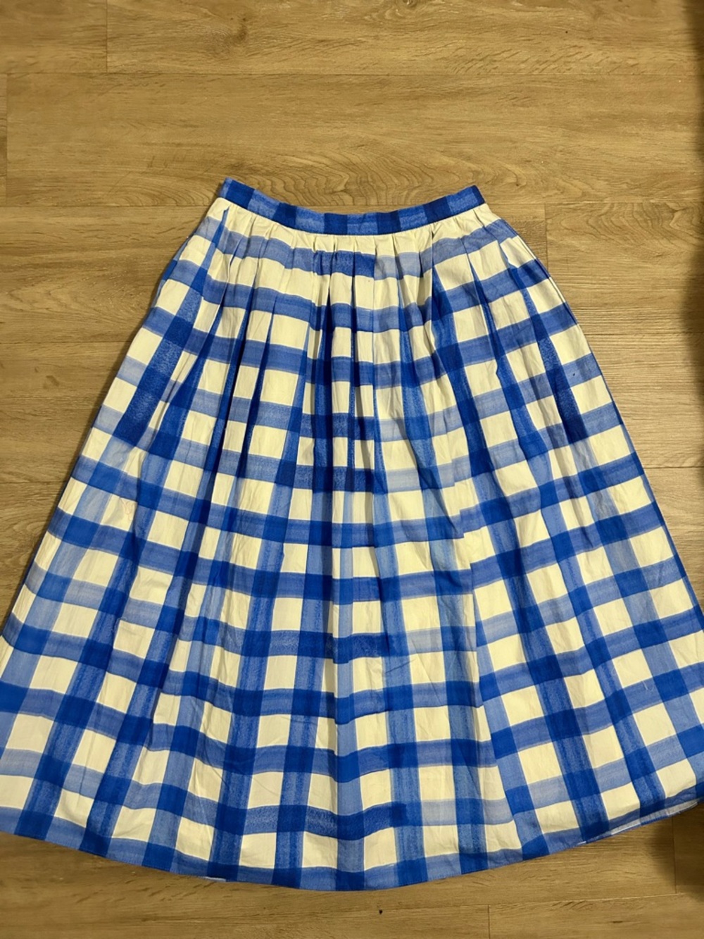 Zara maxi skirt